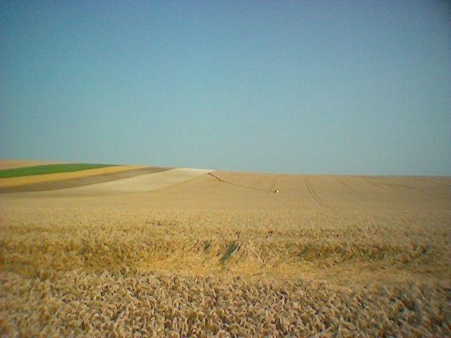 elle a roule.jpg